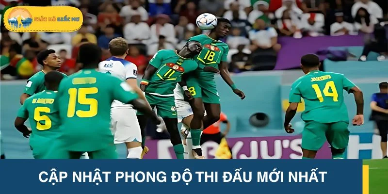 Cập nhật phong độ thi đấu mới nhất giữa Anh vs Senegal