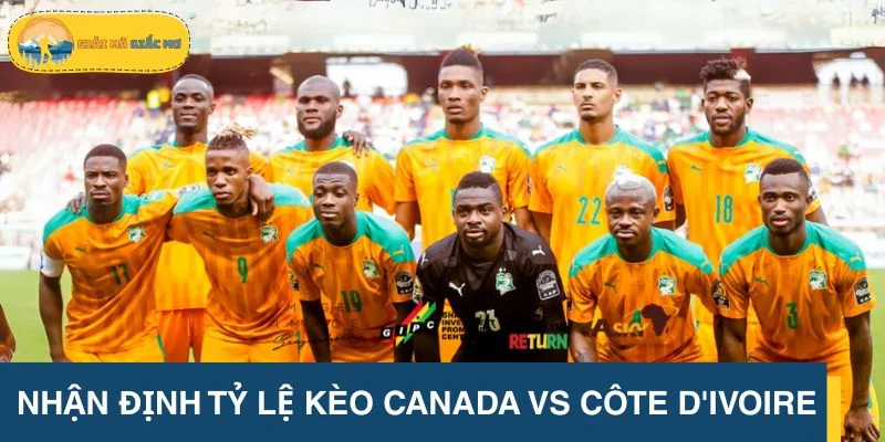Nhận định tỷ lệ kèo Canada vs Côte d'Ivoire chuẩn xác
