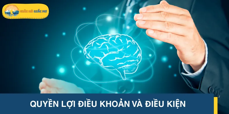 Chỉ nên xem thông tin với tính chất tham khảo