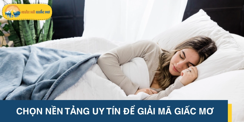 Xem và chọn nền tảng cá cược đáng tin nhất hiện nay