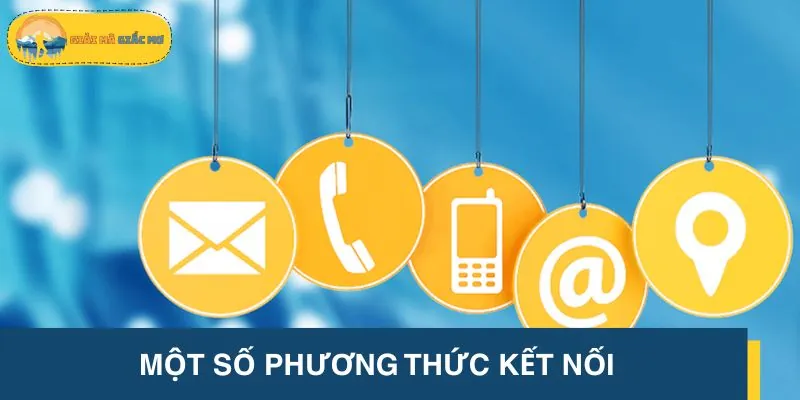 Top kênh liên hệ chính thức bạn cần biết