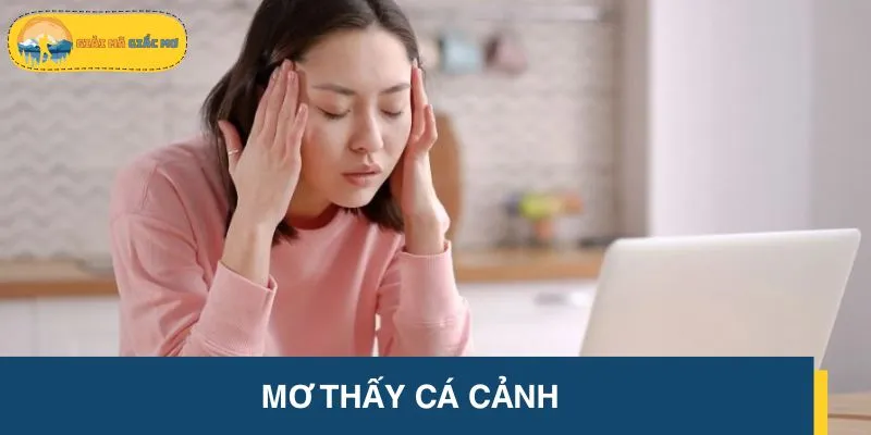 Nằm mơ thấy cá cảnh là thông điệp về sự gò bó, thiếu sáng tạo