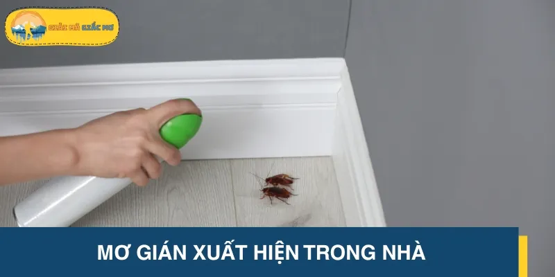 Mộng thấy gián xuất hiện trong nhà biểu thị cho những xung đột sắp xảy ra