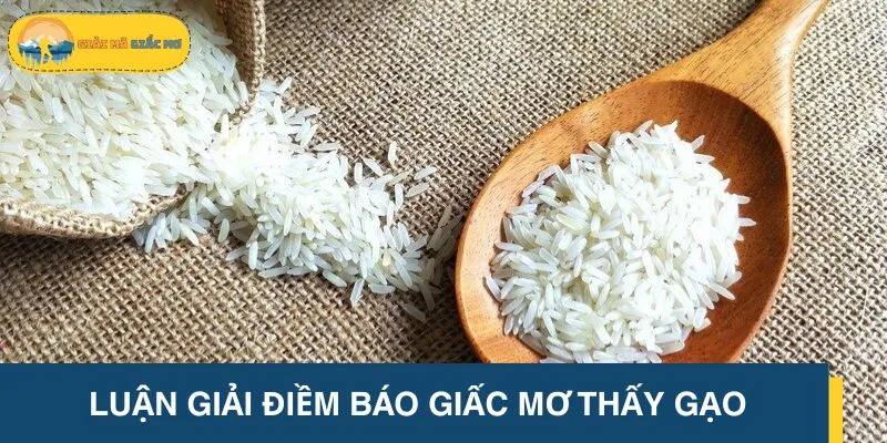 Mơ thấy gạo gửi gắm thông điệp tương lai thú vị