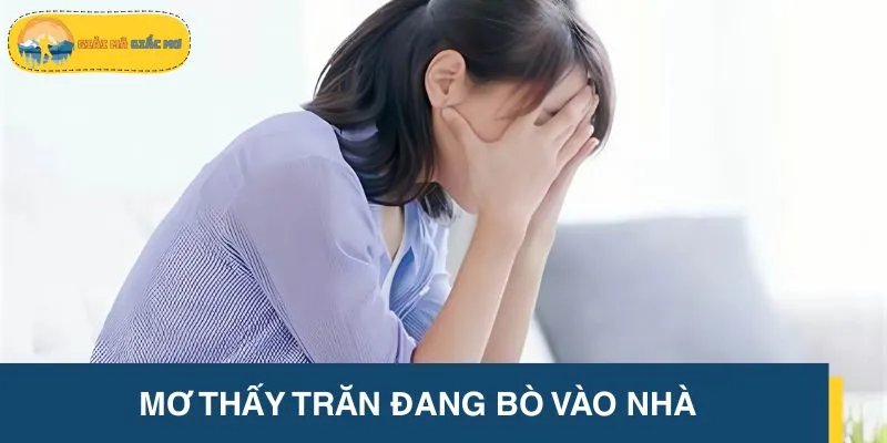 Mộng thấy trăn bò vào nhà gửi gắm thông điệp về mặt tinh thần