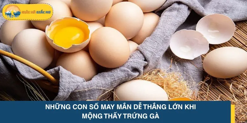 Những con số may mắn dễ thắng lớn khi mộng thấy trứng gà