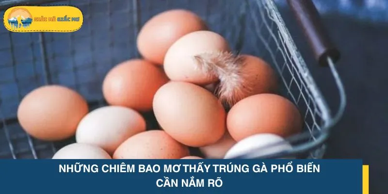 Những chiêm bao mơ thấy trúng gà phổ biến cần nắm rõ