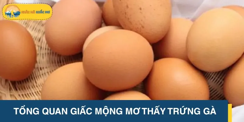 Tổng quan giấc mộng mơ thấy trứng gà