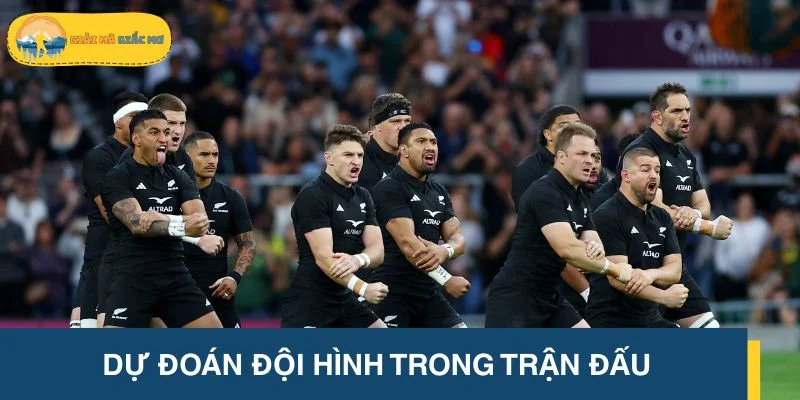 Dự đoán đội hình trong trận đấu giữa New Zealand vs Ukraine