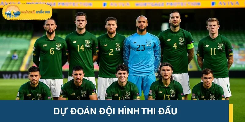 Dự đoán đội hình thi đấu giữa Northern Ireland vs Iceland