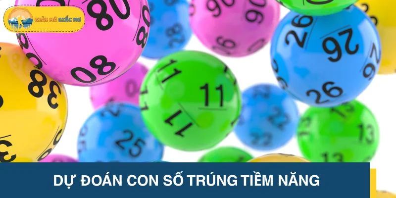Soi cầu XSMN - Dự đoán con số trúng tiềm năng