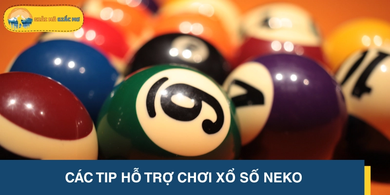 Cách soi cầu xổ số Neko chuẩn xác cho người mới bắt đầu
